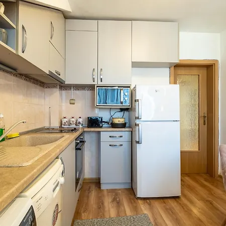 Apartman 1bdrm Downtown *