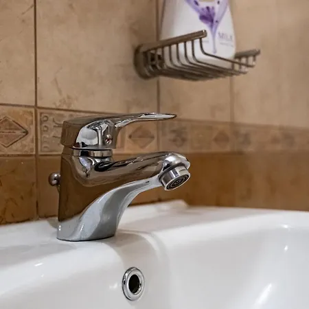 Apartman 1bdrm Downtown *